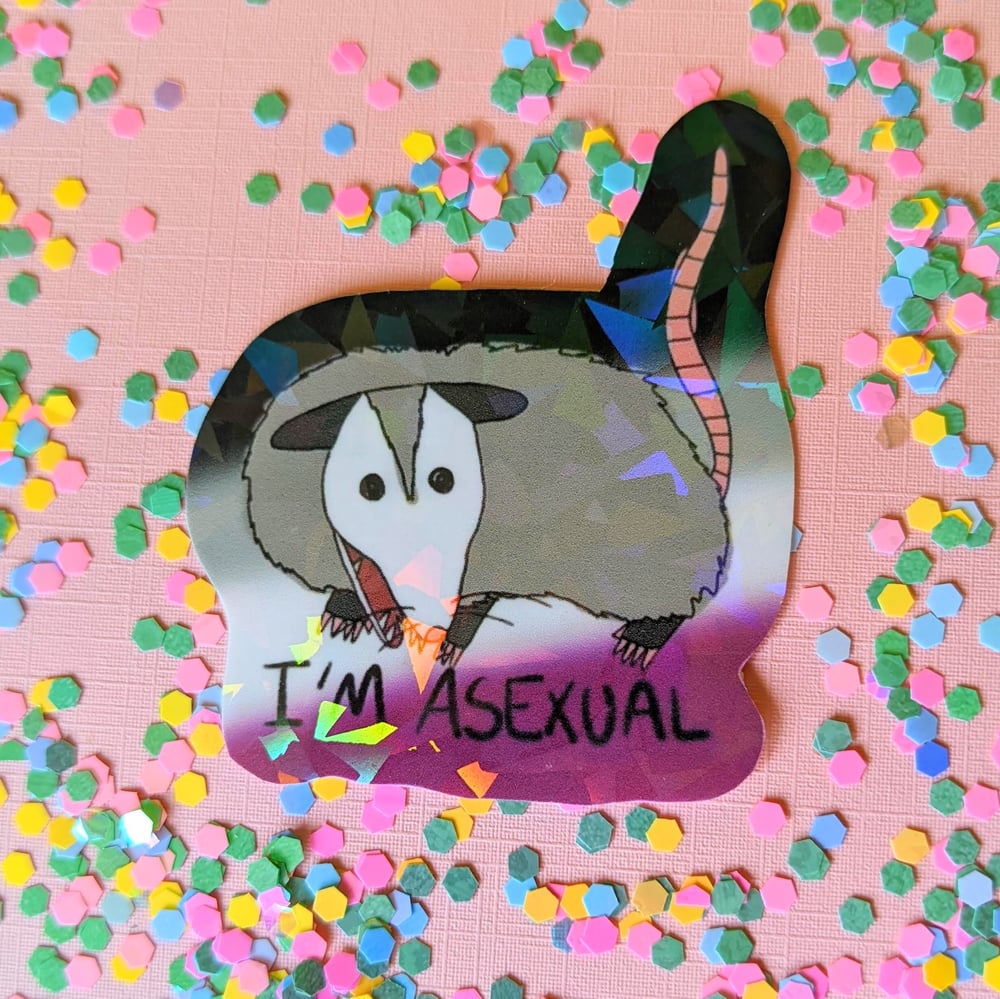 Image of Pride Possum Stickers