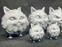 Image 7 of Loth Kittens
