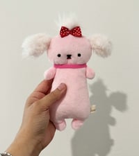 Image 1 of Prima Donna Poodle 