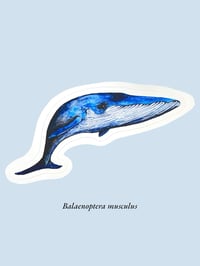 Image 4 of Stickers