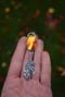 Image of Large White Oak Leaf Glowing Baltic Amber Statement Pendant