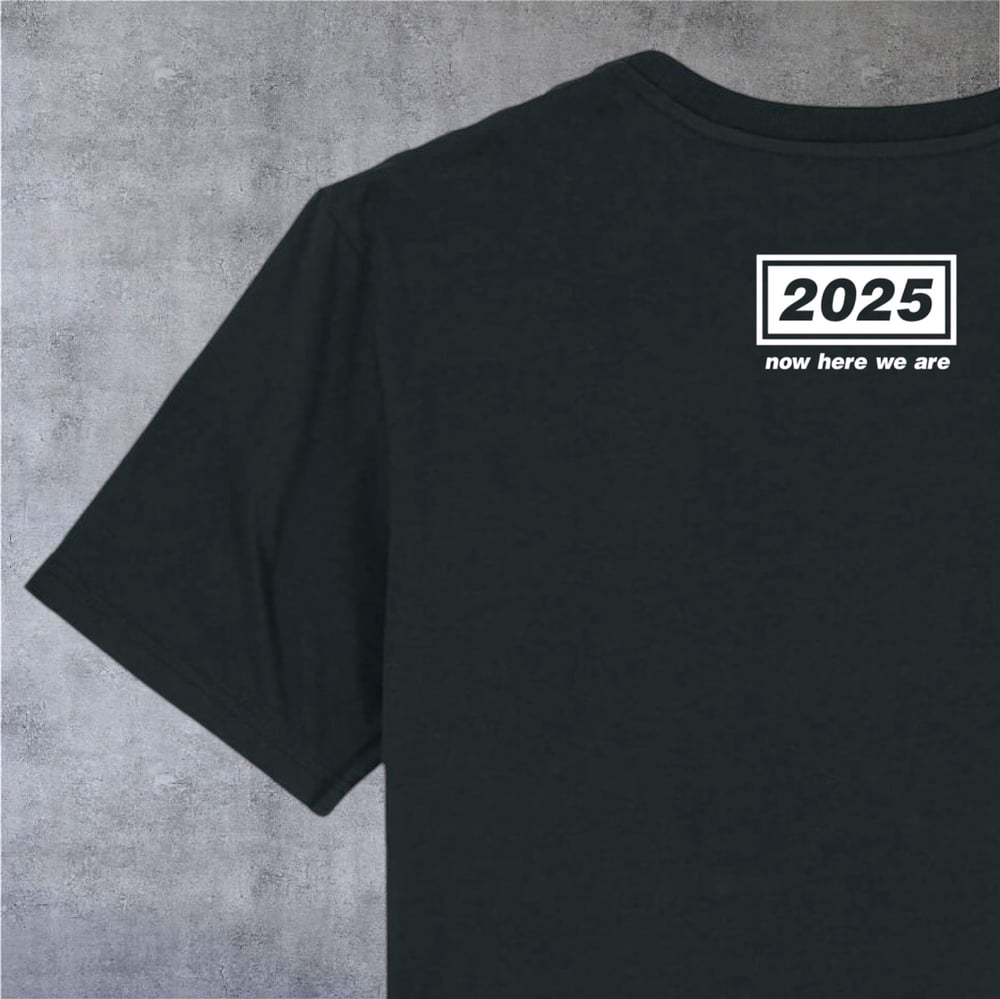 1994 - 2025 T-Shirt