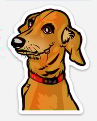 Willy Sticker (Pre-Sale)