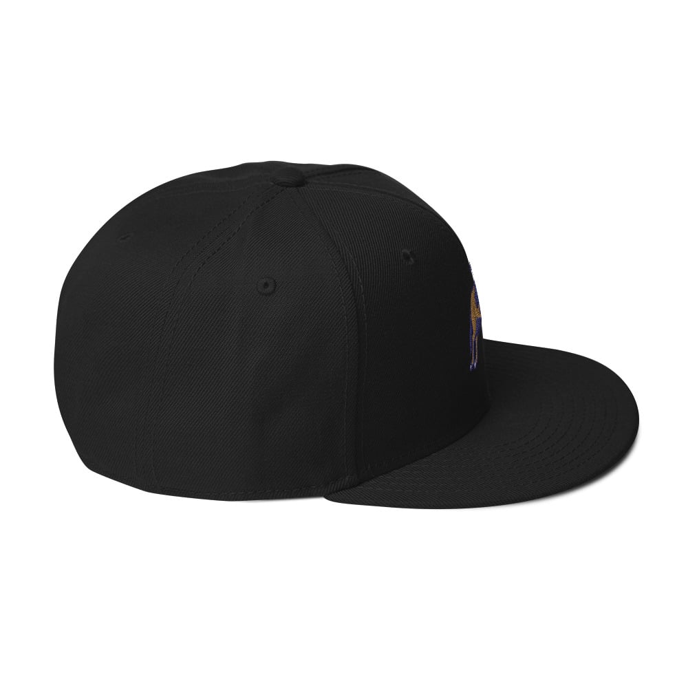 ZEN EXP - Racehorse Snapback Hat