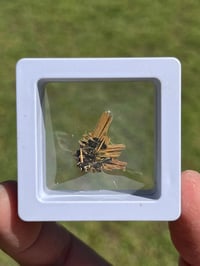 Image 24 of Golden Rutile & Hematite Star Specimen|Brazil #2932