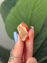 Image 1 of TUMBLED AGATE #54 -MALAWI-