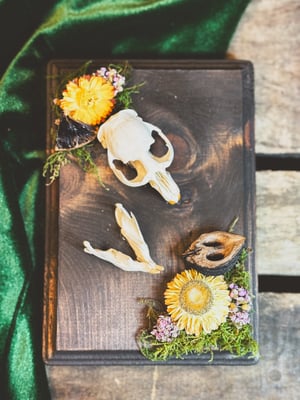 Image of Walnut & Strawflower Muskrat Hanger