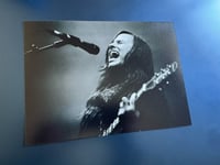 Emily Wolfe (London)