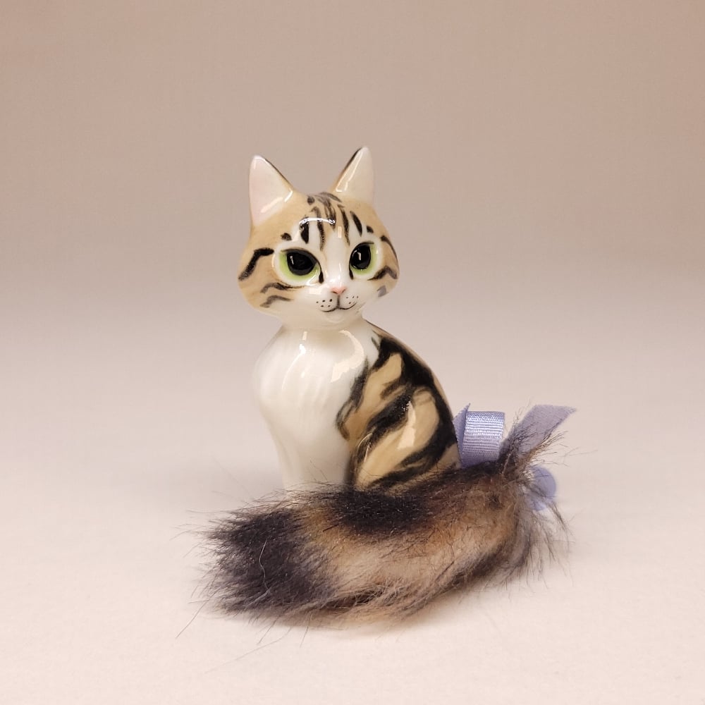 Image of Brown and White Tabby Trinkitty