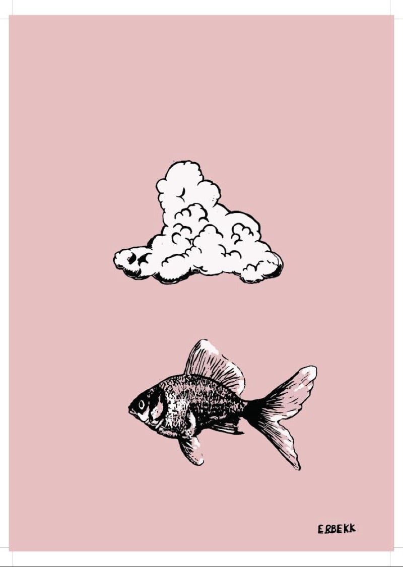 Image of The fish & the cloud