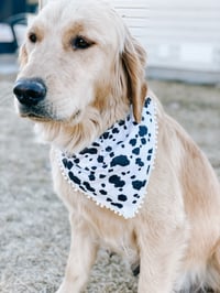 Image 1 of Cow Dog Bandana