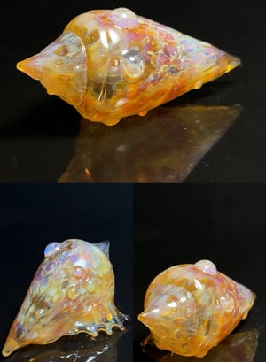 Image of Large Shell 4