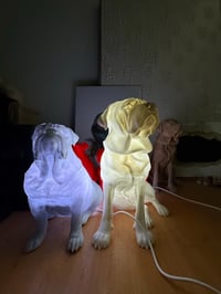 Image 2 of Pet lamps