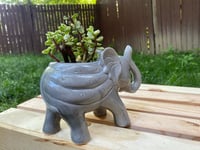 Image 3 of Rainbow "Elephant" Bush in Glazed Elephant