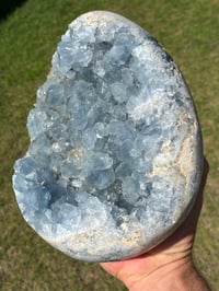 Image 16 of Celestite Cluster #1059