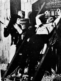 Image 8 of Fuzoku Kitan 1970 #7