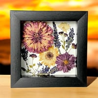 Image 1 of Zinnia, Mum, Cosmo, Veronica & Daisy - Wildflower Art In 6" X 6" Shadow Box (Item# 202307S)