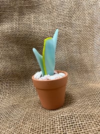 Image 2 of Mother in Law Tongue 