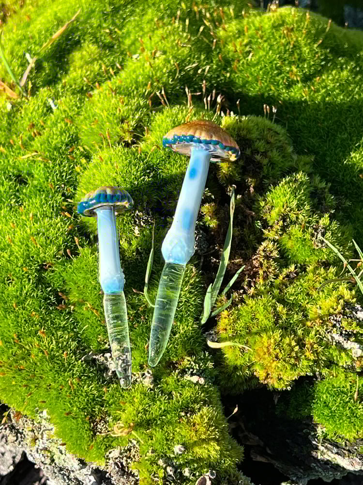 Image of 2 Dune Grass Mushroom Plant Spikes