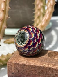 Image 10 of star marb