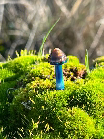 Image of Small Blue Staining Mushroom Plant Spike 1