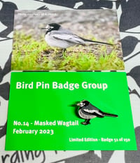 Image 1 of Masked Wagtail - No.14 - Bird Pin Badge Group - Enamel Pin Badge
