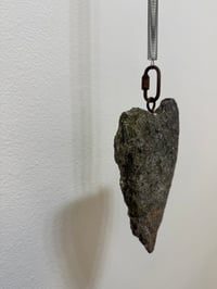 Image 2 of LYNNE FRANCIOSE - "The ups and downs of the heart"