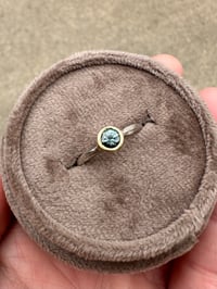 Image 4 of size 6.5 Montana sapphire engagement ring with branch band