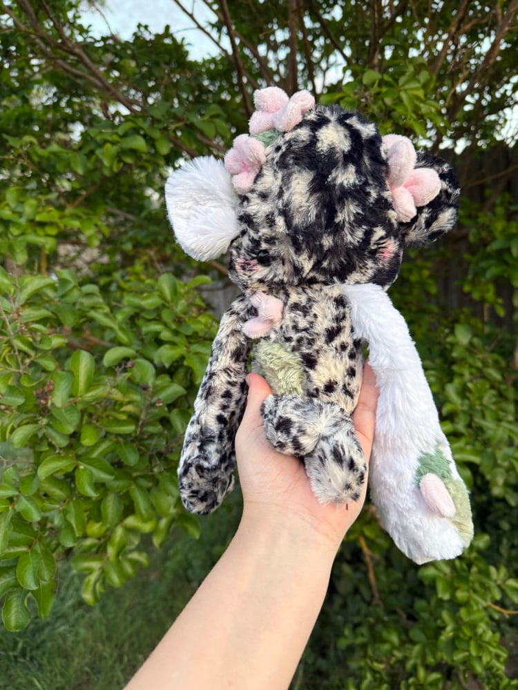 Image of Blossom collector