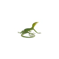 Green Tree Monitor 
