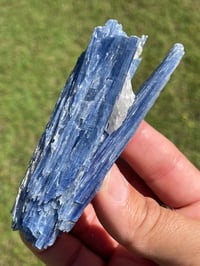Image 12 of Blue Kyanite & Quartz Specimen #1897