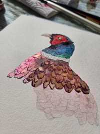 Image 4 of "Pheasant" Original 