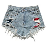 Image 1 of ::2016:: One-of-One High Waisted Shorts