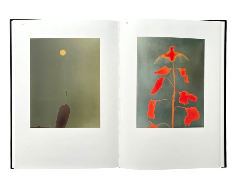 Adam Fuss - Photograms Of Life And Death | Photobook Junkies