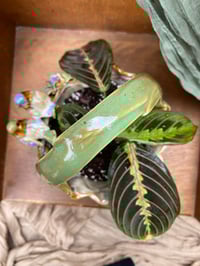 Image 2 of Prayer Plant in Glazed Bird Basket
