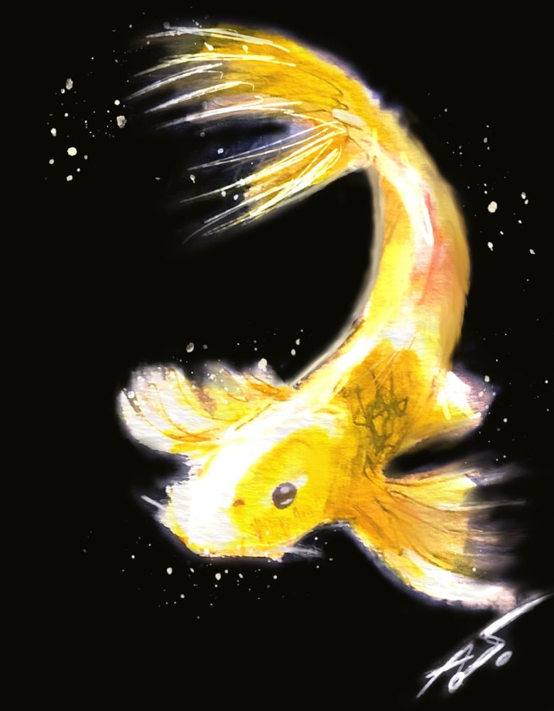 Image of Golden Koi Fish