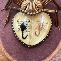 Image 2 of Specimen spider (b,  4x5 inches)