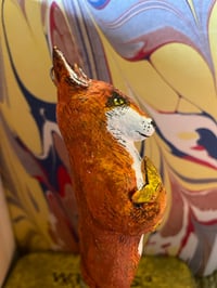 Image 3 of Scout the fox