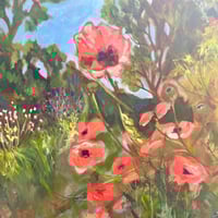 Image 4 of Wind blown Easky Poppies 