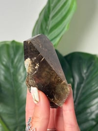 Image 2 of HALF POLISHED HIMALAYAN RUTILE IN QUARTZ CLUSTER B