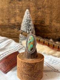 Image 1 of The Range Rider 