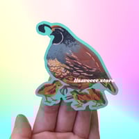 California Quail & chicks | vinyl sticker