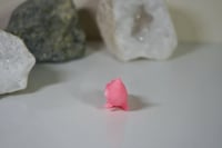 Image 2 of Pink Glow Worm *Preorder*