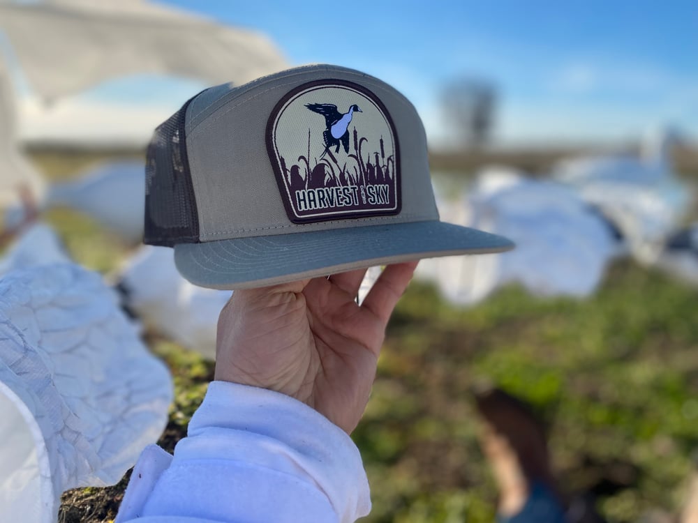 Pintail Panel Hats