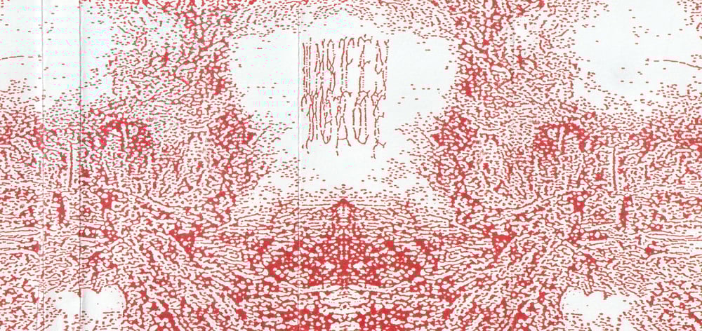 PURITAN WASTE ‘You Can’t Ignore the Enemy’ cassette