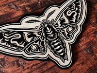 Image 3 of Hawk Moth