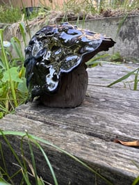 Image 4 of Mushaboo - Murmush