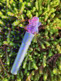 Image 1 of Royal Jelly Cropal Ditto #1
