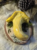 Image 1 of Mushroom Sculptures