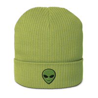 Image 1 of Little Green Friend Organic ribbed beanie
